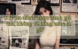 5 lý do d9bet được đánh giá cao, không tô hồng ante là gì