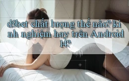 d9bet chất lượng thế nào kinh nghiệm hay trên Android 14