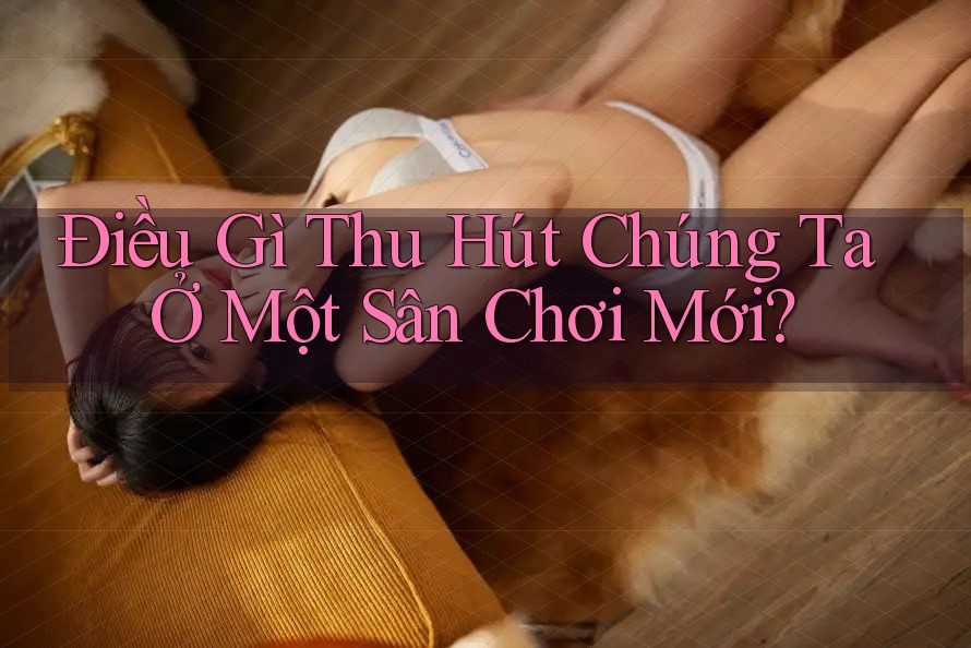 Điều Gì Thu Hút Chúng Ta Ở Một Sân Chơi Mới? Điều Gì Thu Hút Chúng Ta Ở Một Sân Chơi Mới?
