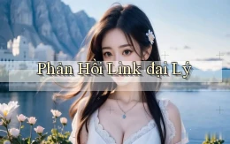 Phản hồi Link đại lý
