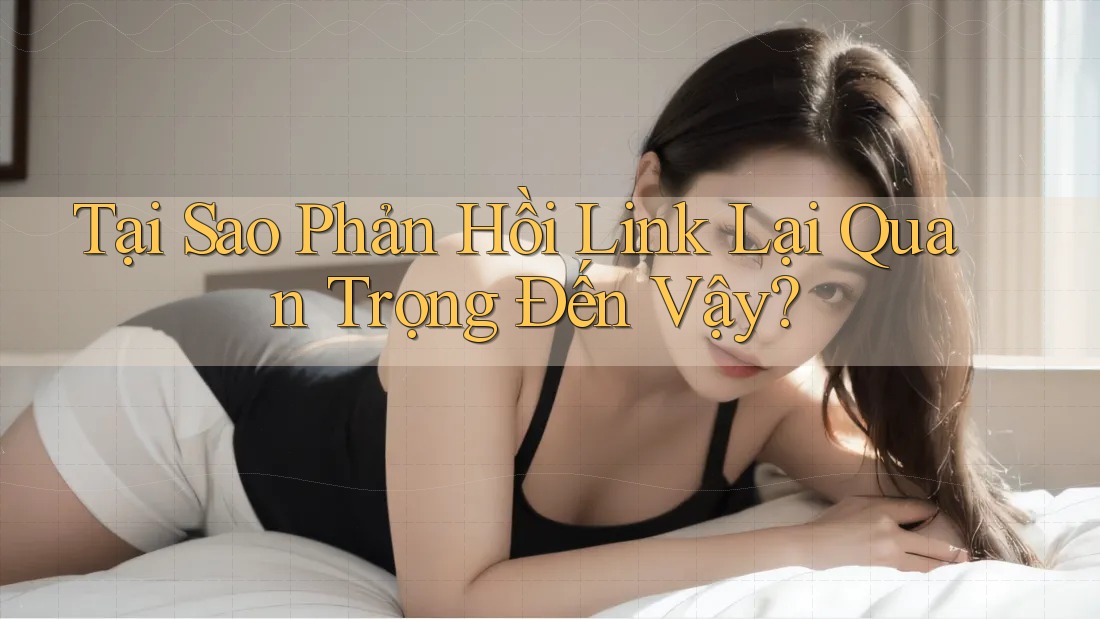 Tại Sao Phản Hồi Link Lại Quan Trọng Đến Vậy?