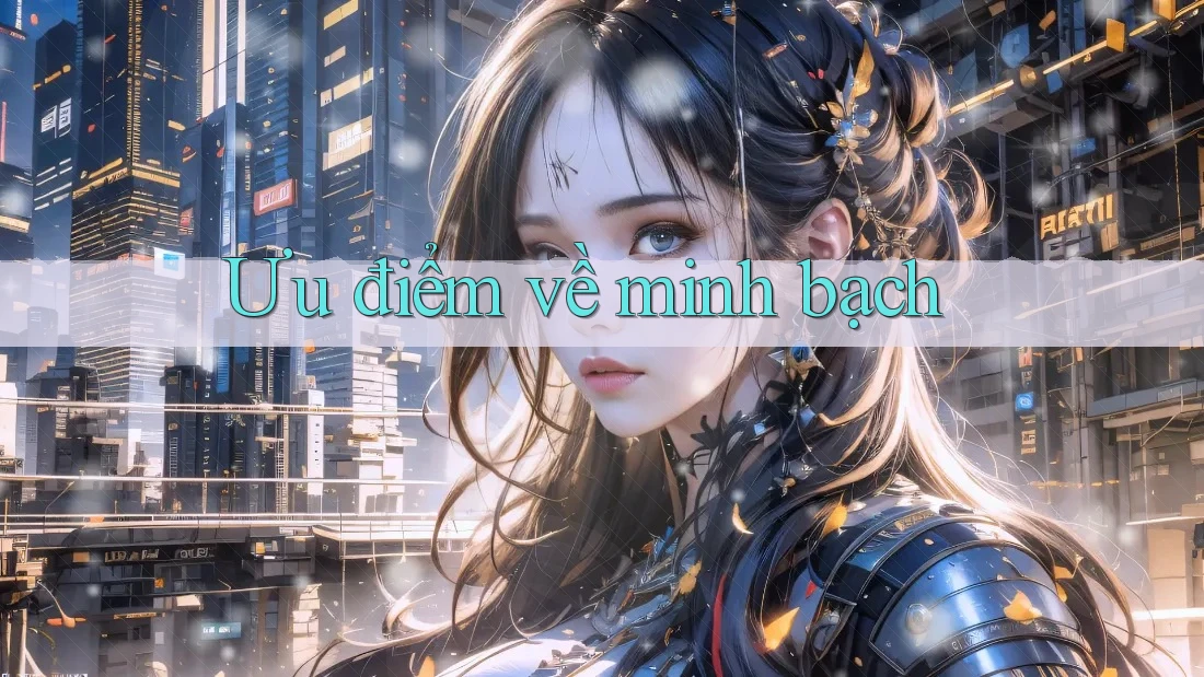 Ưu điểm về minh bạch